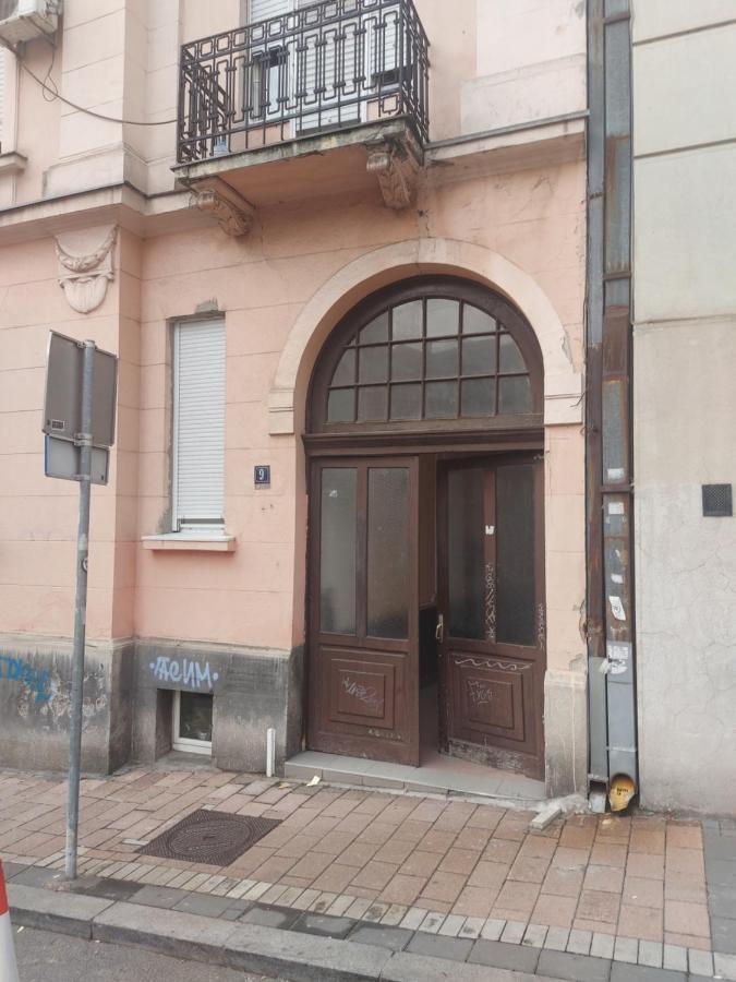 Apartman Mikikiki بلغراد المظهر الخارجي الصورة